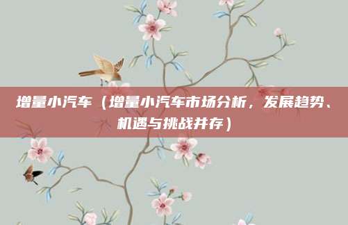 增量小汽车（增量小汽车市场分析，发展趋势、机遇与挑战并存）