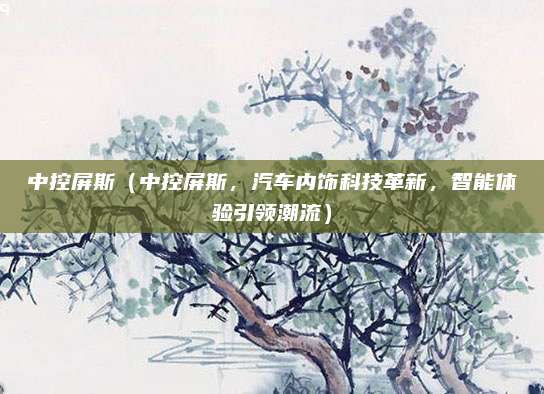 中控屏斯(中控屏斯,汽车内饰科技革新,智能体验引领潮流)