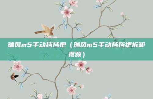 瑞风m5手动挡挡把(瑞风m5手动挡挡把拆卸视频)