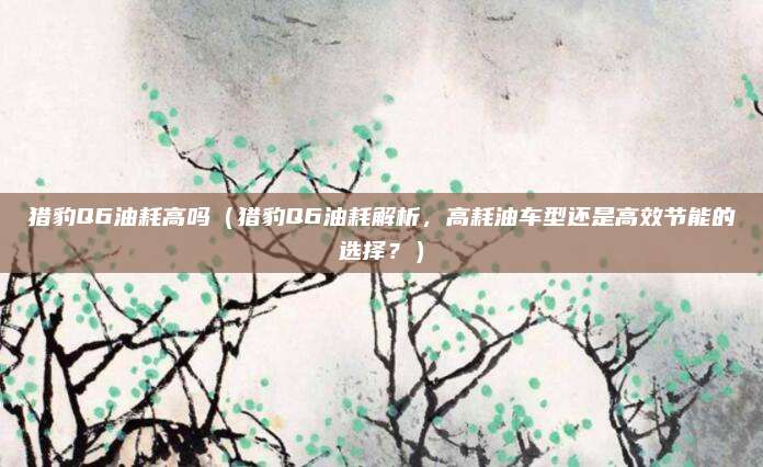 猎豹Q6油耗高吗（猎豹Q6油耗解析，高耗油车型还是高效节能的选择？）