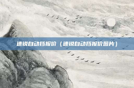 速锐自动挡报价(速锐自动挡报价图片)