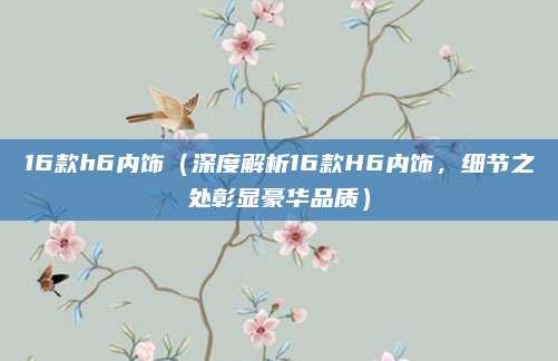 16款h6内饰(深度解析16款H6内饰,细节之处彰显豪华品质)