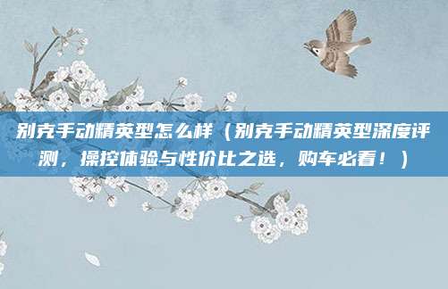 别克手动精英型怎么样(别克手动精英型深度评测,操控体验与性价比之选,购车必看!)