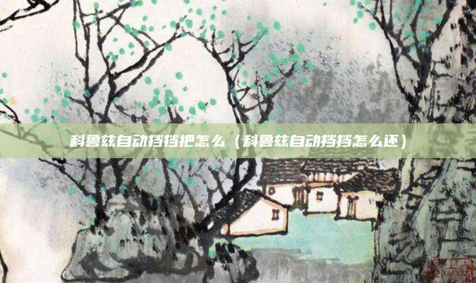 科鲁兹自动挡挡把怎么(科鲁兹自动挡挡怎么还)