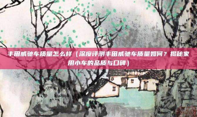 丰田威驰车质量怎么样（深度评测丰田威驰车质量如何？揭秘家用小车的品质与口碑）