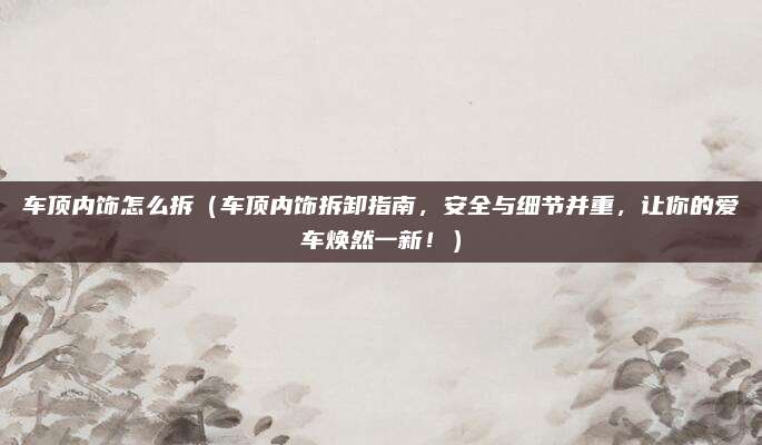 车顶内饰怎么拆(车顶内饰拆卸指南,安全与细节并重,让你的爱车焕然一新!)