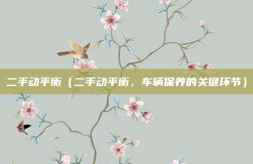 二手动平衡（二手动平衡，车辆保养的关键环节）