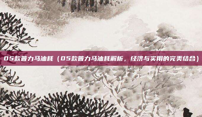 05款普力马油耗(05款普力马油耗解析,经济与实用的完美结合)