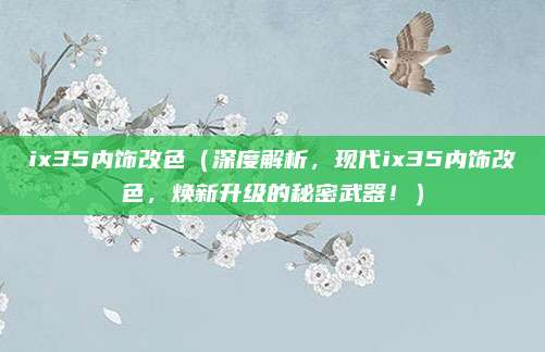 ix35内饰改色(深度解析,现代ix35内饰改色,焕新升级的秘密武器!)