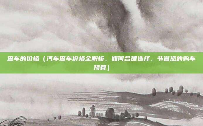 查车的价格（汽车查车价格全解析，如何合理选择，节省您的购车预算）