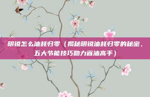 明锐怎么油耗归零(揭秘明锐油耗归零的秘密,五大节能技巧助力省油高手)
