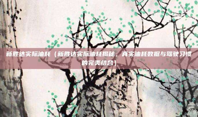 新胜达实际油耗（新胜达实际油耗揭秘，真实油耗数据与驾驶习惯的完美结合）