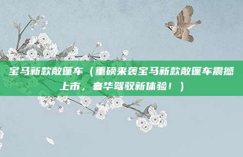 宝马新款敞篷车(重磅来袭宝马新款敞篷车震撼上市,奢华驾驭新体验!)