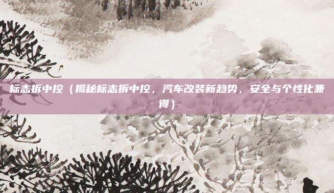 标志拆中控（揭秘标志拆中控，汽车改装新趋势，安全与个性化兼得）
