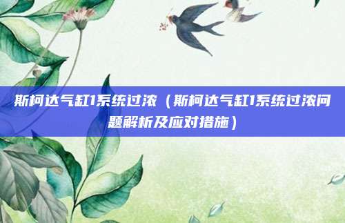 斯柯达气缸1系统过浓（斯柯达气缸1系统过浓问题解析及应对措施）