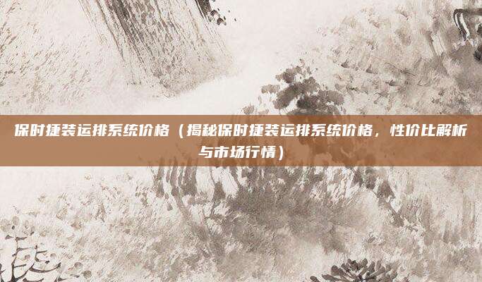 保时捷装运排系统价格（揭秘保时捷装运排系统价格，性价比解析与市场行情）
