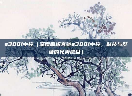 e300l中控(深度解析奔驰e300l中控,科技与舒适的完美融合)