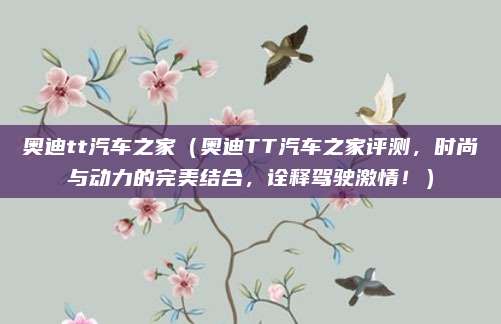 奥迪tt汽车之家(奥迪TT汽车之家评测,时尚与动力的完美结合,诠释驾驶激情!)