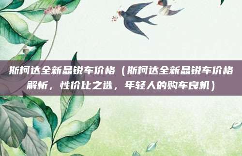 斯柯达全新晶锐车价格(斯柯达全新晶锐车价格解析,性价比之选,年轻人的购车良机)