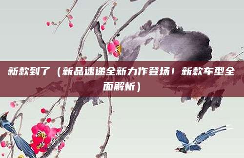新款到了(新品速递全新力作登场!新款车型全面解析)