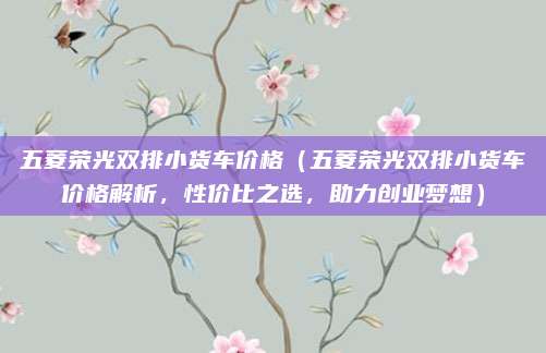 五菱荣光双排小货车价格（五菱荣光双排小货车价格解析，性价比之选，助力创业梦想）