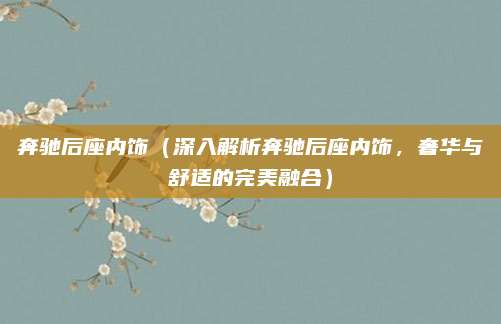 奔驰后座内饰（深入解析奔驰后座内饰，奢华与舒适的完美融合）