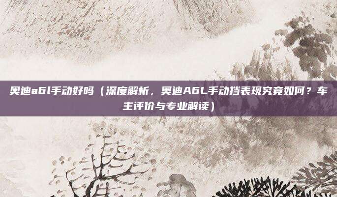 奥迪a6l手动好吗（深度解析，奥迪A6L手动挡表现究竟如何？车主评价与专业解读）