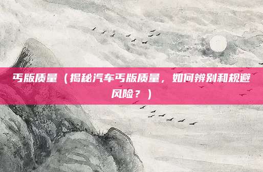 丐版质量（揭秘汽车丐版质量，如何辨别和规避风险？）