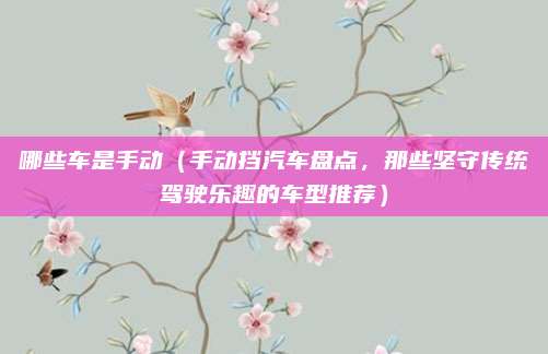 哪些车是手动(手动挡汽车盘点,那些坚守传统驾驶乐趣的车型推荐)
