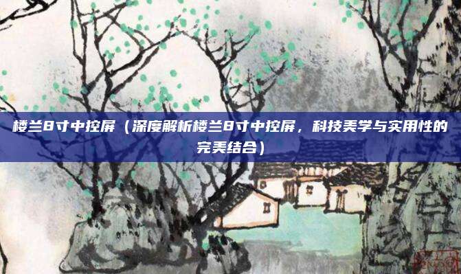 楼兰8寸中控屏（深度解析楼兰8寸中控屏，科技美学与实用性的完美结合）