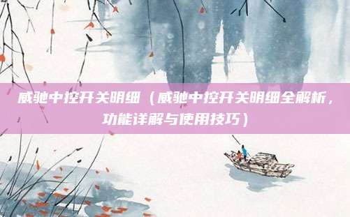 威驰中控开关明细(威驰中控开关明细全解析,功能详解与使用技巧)