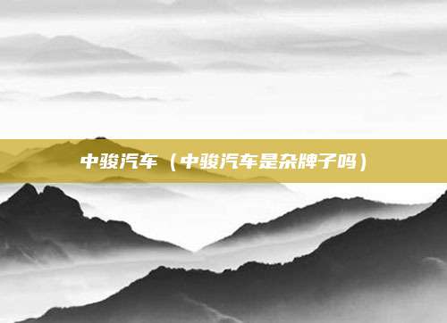 中骏汽车(中骏汽车是杂牌子吗)