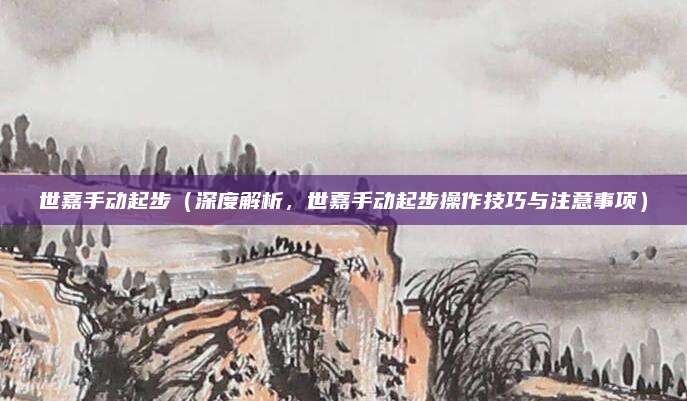 世嘉手动起步(深度解析,世嘉手动起步操作技巧与注意事项)