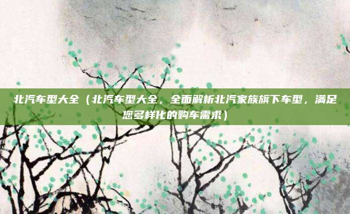 北汽车型大全(北汽车型大全,全面解析北汽家族旗下车型,满足您多样化的购车需求)