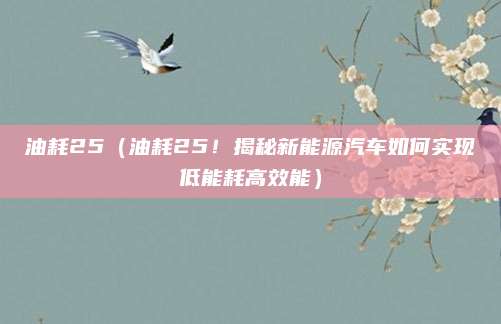 油耗25（油耗25！揭秘新能源汽车如何实现低能耗高效能）