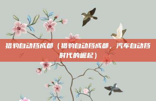猎豹自动挡成都（猎豹自动挡成都，汽车自动挡时代的崛起）