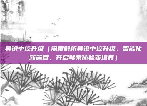 昊锐中控升级（深度解析昊锐中控升级，智能化新篇章，开启驾乘体验新境界）
