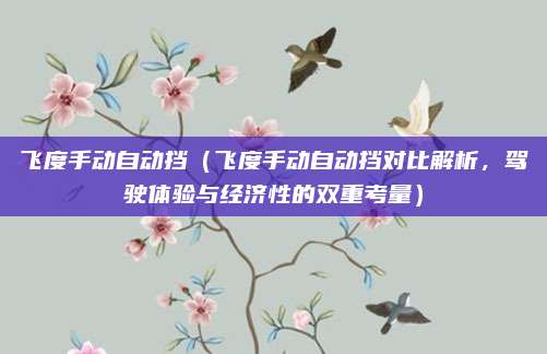 飞度手动自动挡（飞度手动自动挡对比解析，驾驶体验与经济性的双重考量）