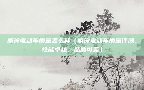 威铃电动车质量怎么样（威铃电动车质量评测，性能卓越，品质可靠）