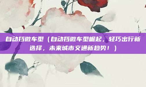 自动挡微车型(自动挡微车型崛起,轻巧出行新选择,未来城市交通新趋势!)