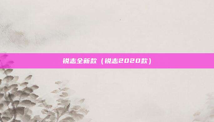 锐志全新款(锐志2020款)