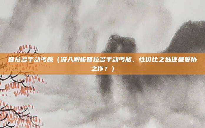 普拉多手动丐版(深入解析普拉多手动丐版,性价比之选还是妥协之作?)