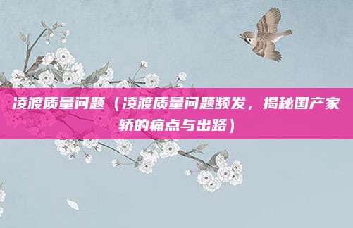 凌渡质量问题(凌渡质量问题频发,揭秘国产家轿的痛点与出路)