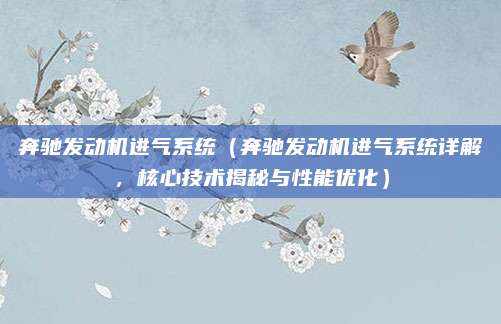 奔驰发动机进气系统（奔驰发动机进气系统详解，核心技术揭秘与性能优化）