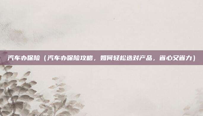 汽车办保险(汽车办保险攻略,如何轻松选对产品,省心又省力)
