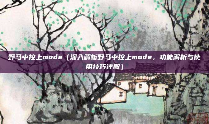 野马中控上mode(深入解析野马中控上mode,功能解析与使用技巧详解)