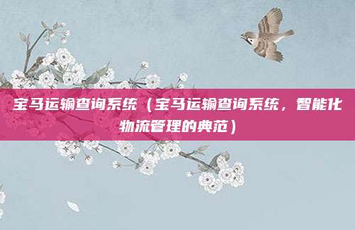 宝马运输查询系统(宝马运输查询系统,智能化物流管理的典范)