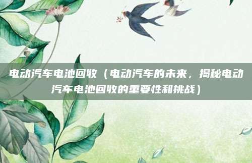 电动汽车电池回收(电动汽车的未来,揭秘电动汽车电池回收的重要性和挑战)