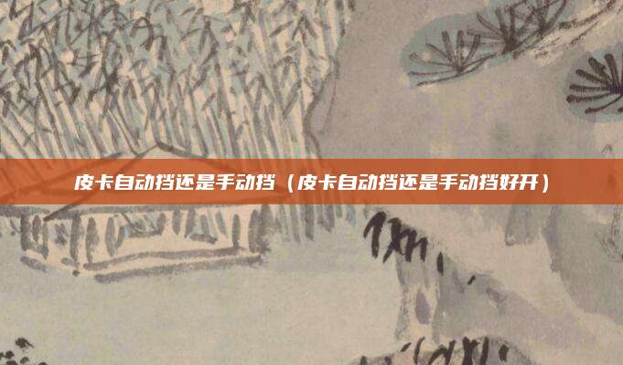皮卡自动挡还是手动挡(皮卡自动挡还是手动挡好开)
