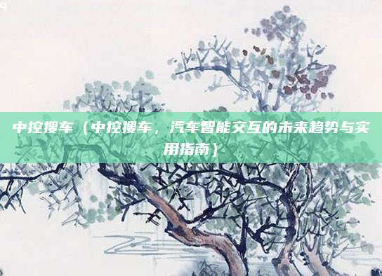 中控搜车（中控搜车，汽车智能交互的未来趋势与实用指南）
